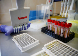 Еще 44: число зараженных коронавирусом на Кубани достигло 461 