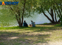 Страдать от жары не придется: как поведет себя погода в Краснодаре 3 июля