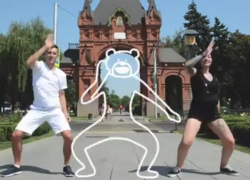 Краснодарцы показали сумасшедшие танцы с медведями