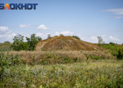 На Кубани увеличилось количество пострадавших от укусов клещей
