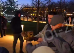 Фотографы с совами на привязи оккупировали парк Галицкого