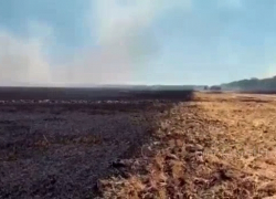 Тракторист едва не сгорел при пожаре на поле в Краснодарском крае 
