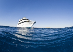 На Кубани организовали проверку по факту пропажи ученой-дайвера