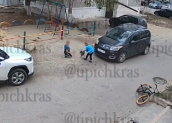 В Краснодарском крае дети пытались закопать живого котёнка