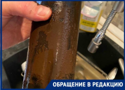 Новый флешмоб «шоколадных» фильтров запустили в Краснодаре 