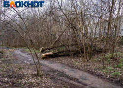 О начале пожароопасного периода предупредили жителей Кубани