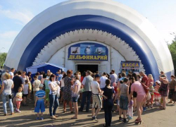 Женщину обокрали в очереди в дельфинарий