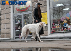 Температурный скачок устроит погода на 8 марта для жителей Кубани