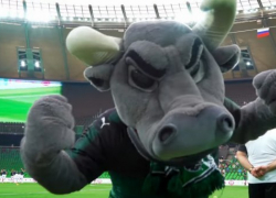  Российский тренер не поверил в возможность «Краснодара» стать чемпионом 