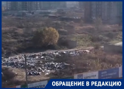 Разрастающаяся под окнами свалка раздражает краснодарцев