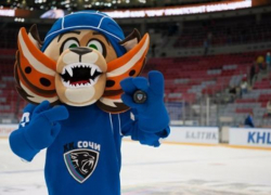 Сочинские «леопарды» заключили контракт с вратарём Шикиным