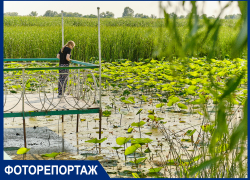В Краснодаре показали самые яркие кадры июня: уникальные фото и видео