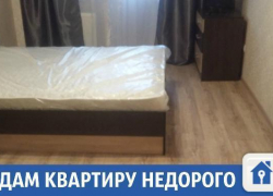 Чистая и светлая квартира с хорошим ремонтом сдается в Краснодаре