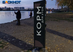Автоматы с кормом для уток появились у водоемов Краснодара