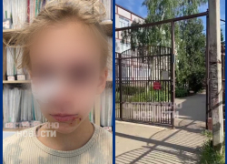 Во дворе школы в Краснодаре бездомная собака разорвала лицо 8-летней девочке 
