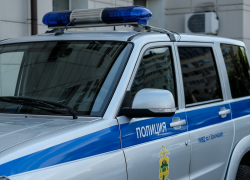 В Краснодаре задержали подозреваемого в грабеже алкоголя из магазина 