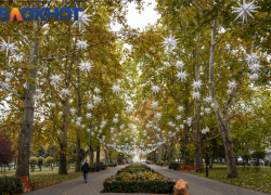 Краснодарские знаменитости в деле: Шахназаров оправдал Пугачеву, Сафонов отстоял на ноль, а Лепс жалуется на невесту