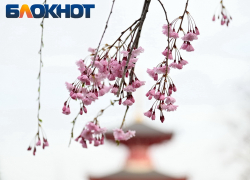 Облака закроют солнце на 8 Марта в Краснодаре