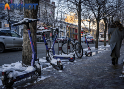 Краснодарцев предупредили о ветре с порывами до 15 м/с