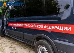 В Краснодарском крае семилетняя девочка выронила в окно пятимесячную сестру