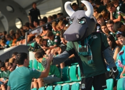 Представители УЕФА подозревают ФК «Краснодар» в нарушениях финансового «фейр-плей»