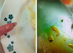 В Краснодарском крае прокуратура и Роспотребнадзор начали проверку лагеря, где дети нашли червей в еде