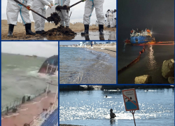 Горы мазута, турсезон и отголоски: как экокатастрофа в Черном море изменила жизнь россиян