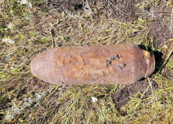 «Ограничьте походы в лес!»: в Крымском районе нашли авиабомбу