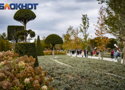 «Слизали с парка во Франции»: «Парк облаков» в Краснодаре раскритиковали за сходство с зарубежным садом