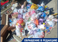 Крысы, тараканы и неимоверная вонь: полная антисанитария царит в жилом районе Краснодара 