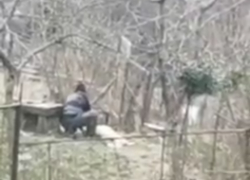 Жестокий живодер, убивший собственную собаку в Сочи, попал на видео