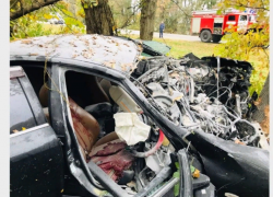 В Краснодаре иномарка съехала с мокрой дороги и врезалась в дерево: водитель погиб