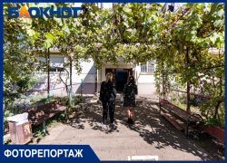 "Трупный запах, вперемешку с мочой": краснодарка завела в квартире десятки кошек и собак