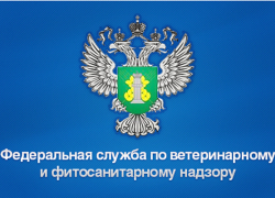 Россельхознадзор Краснодарского края и Республики Адыгея получил нового руководителя