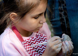 Краснодарцы с особенностями создали дерево-инсталляцию