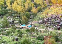 «Пища богов» разрослась на Славянском кладбище Краснодара 