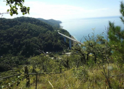  Прокуратура возбудила дело о присвоении земель Сочинского нацпарка 