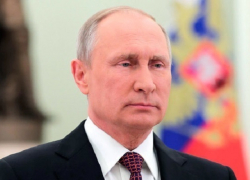 Путин не поедет на конгресс нацдиалога Сирии в Сочи