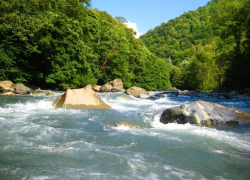 В Сочи пьяного местного жителя спасли из реки Мзымта