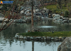 Снег с дождем придет в Краснодар в начале недели