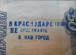 ОНФ прорекламирует Кубань для «понаех», рассказав об успешных «понаехах» Краснодарского края
