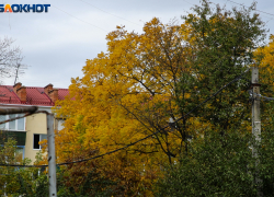 В Краснодаре на 8 часов обесточат десятки улиц