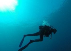 На Кубани ищут женщину-дайвера из института океанологии