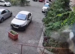 «Деградация полнейшая», - краснодарцы о сброшенной «пятилитровки» с многоэтажки, едва не убившей девочку 