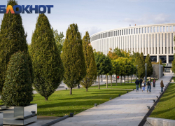 Краснодарские знаменитости в деле: Галицкий дарит спорткомплекс, у Нетребко новый роман, а Сафонов сходил в баню 