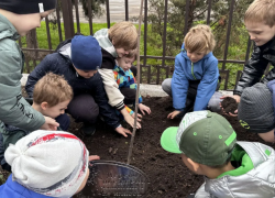 Юные краснодарцы своими руками делают город зеленее