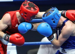 Столицей чемпионата мира по боксу-2019 выбран Сочи
