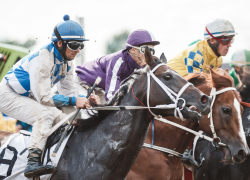 В Краснодаре пройдут ретро-скачки