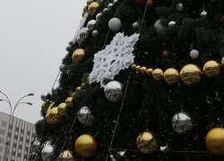  В Краснодаре устроят праздник по случаю открытия главной новогодней елки 