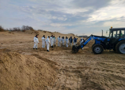 «Мазут не пройдет!»: в борьбу с экологической бедой в Анапе вступили футболисты, в их числе Матвей Сафонов